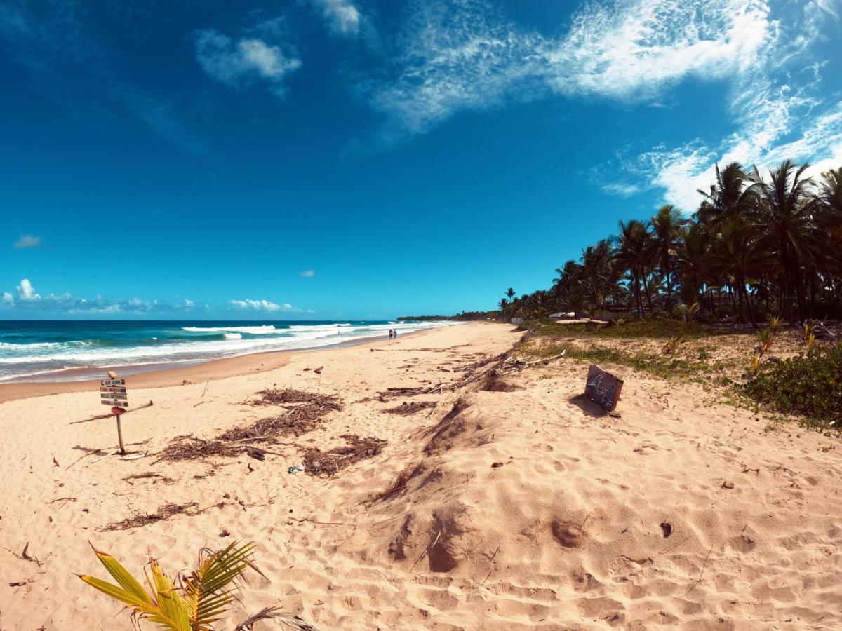 Bangalo Patua Lägenhet Barra Grande  Exteriör bild