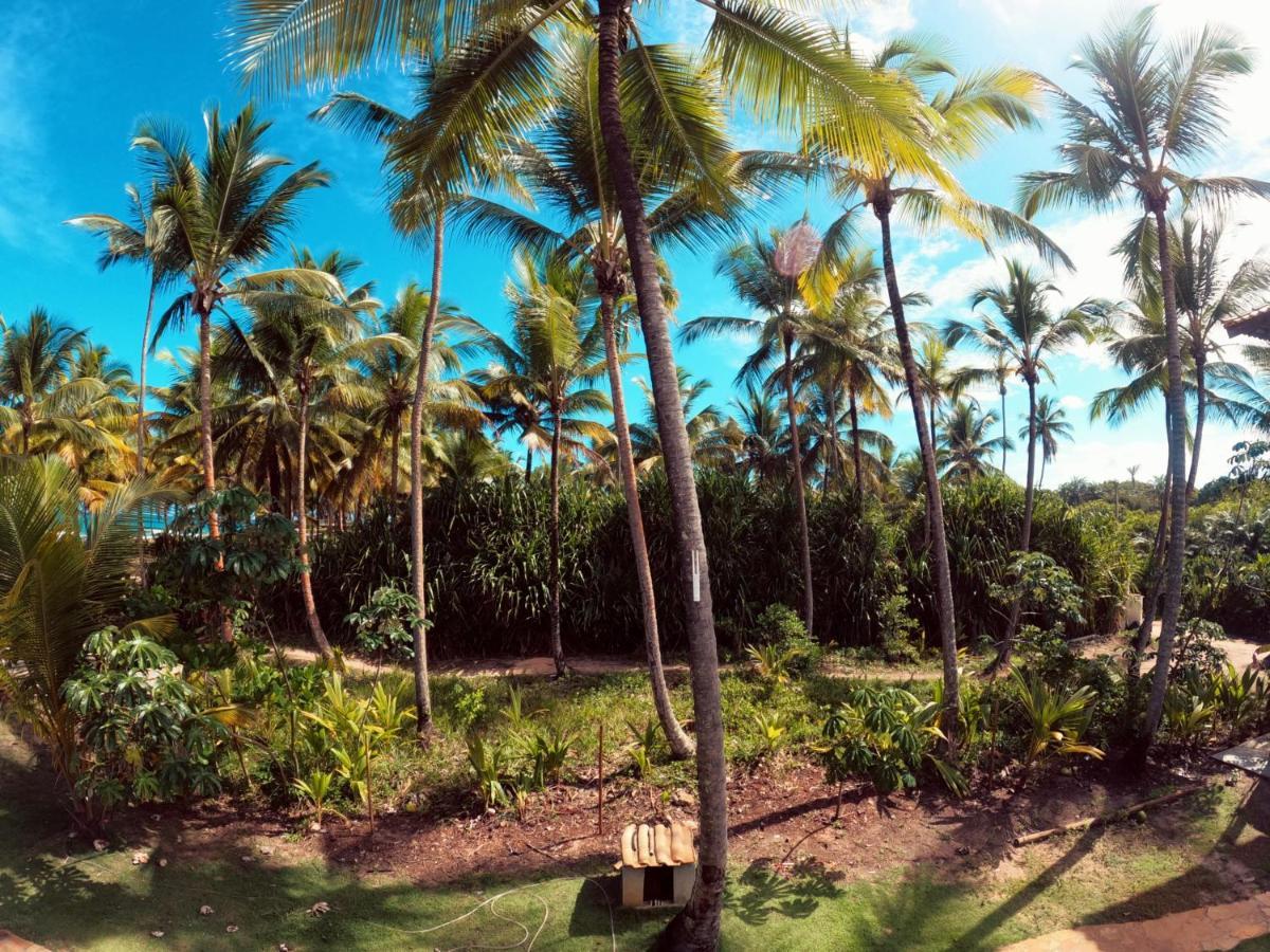 Bangalo Patua Lägenhet Barra Grande  Exteriör bild